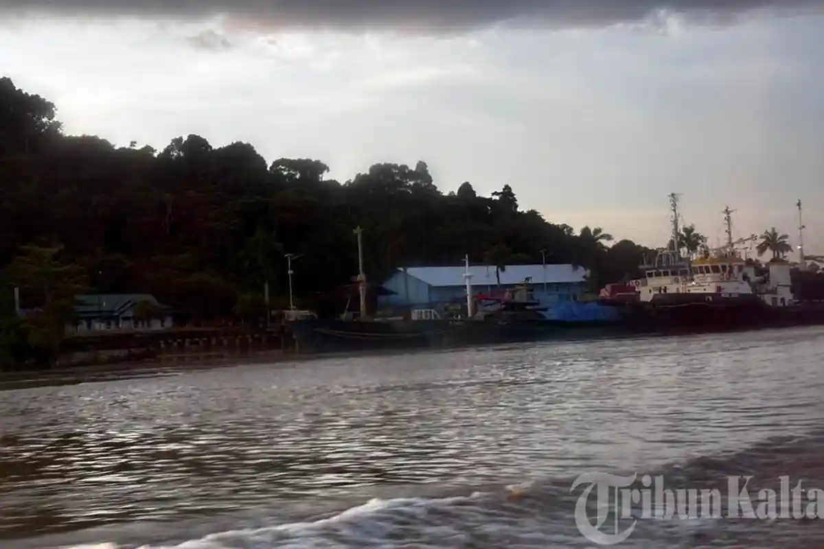 Tantangan Pengawasan Orang Asing di Malinau, Perusahaan Punya Peran Aktif Lapor Data TKA