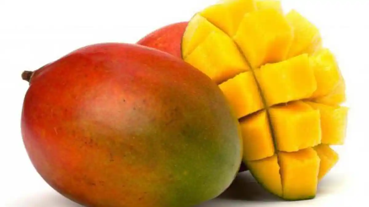 Khasiat Tersembunyi Biji Buah Mangga, Mampu Kontrol Diabetes sampai Turunkan Berat Badan