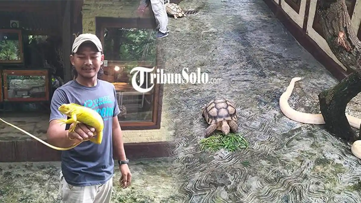 Awal Mula Taman Satwa Kemuning Karanganyar : Sempat Jadi Taman Bunga Tahun 2019