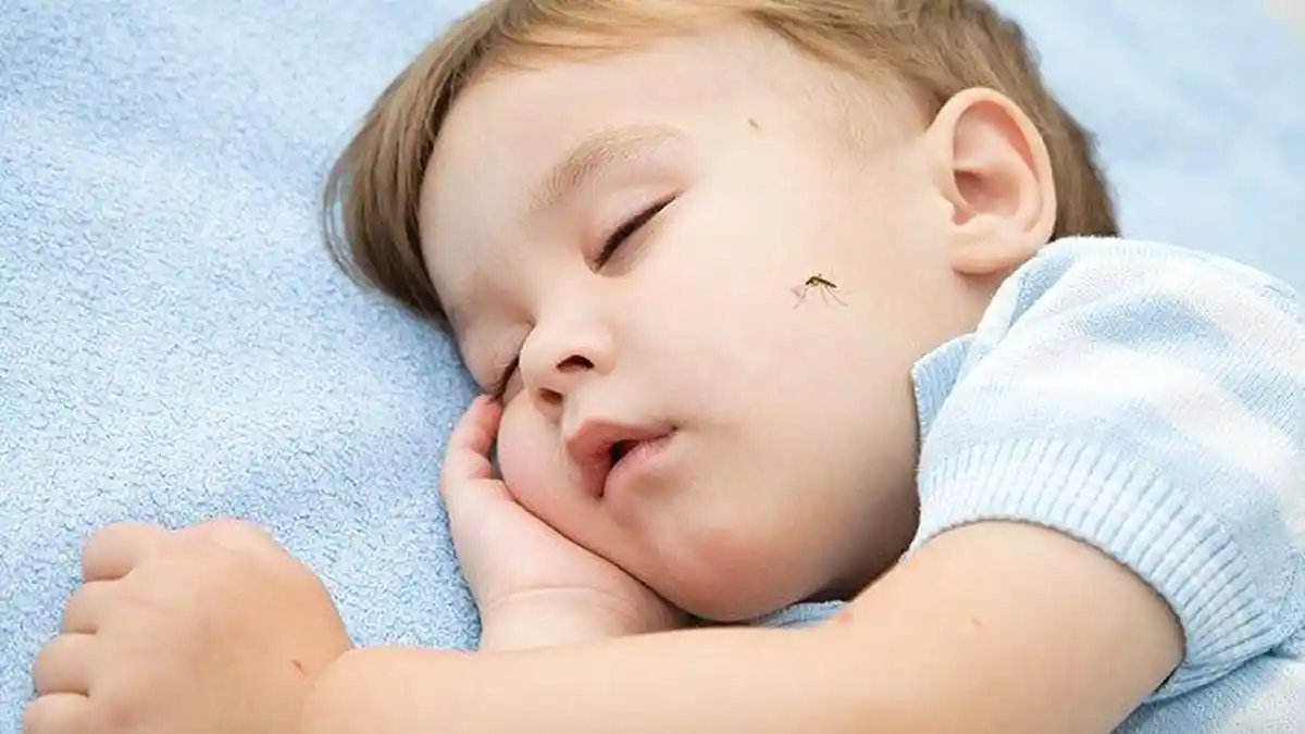Banyak yang Gemas Ingin Pegang Bayi, Amankah Buat si Kecil? Simak Penjelasan Dokter