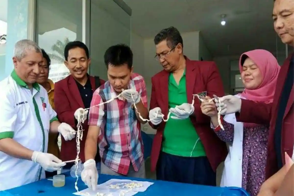 Penemuan Cacing Pita 10 Meter di Sumut: Karena Konsumsi Daging Babi Mentah dan Belum Ada Obatnya
