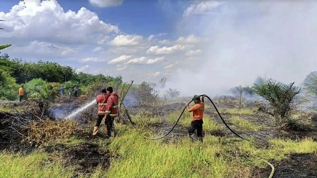 Cuaca Panas Bedengkang, Dua Daerah di Riau Dilanda Karhutla