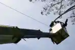 Petugas Pemkot Malang Ganti Lampu PJU Yang Rusak