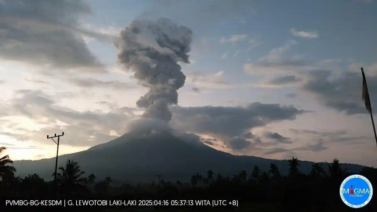 Enam Jam Terakhir, Gunung Lewotobi Laki-laki Alami Dua Kali Letusan