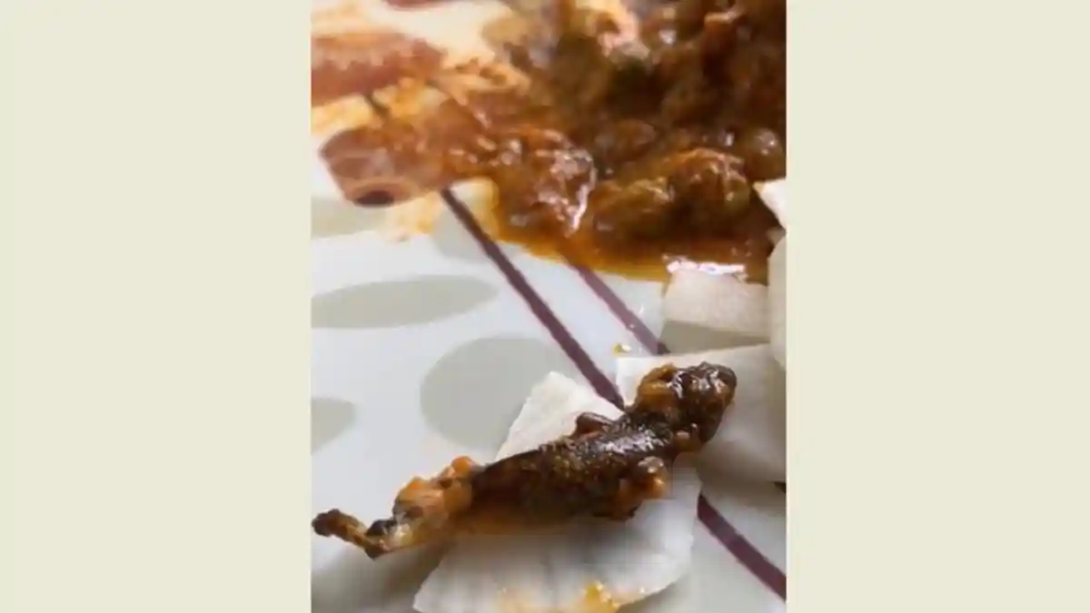 Pasutri Sakit Covid-19 Terkejut dan Langsung Muntah Lihat Ini di Makanan Mereka!
