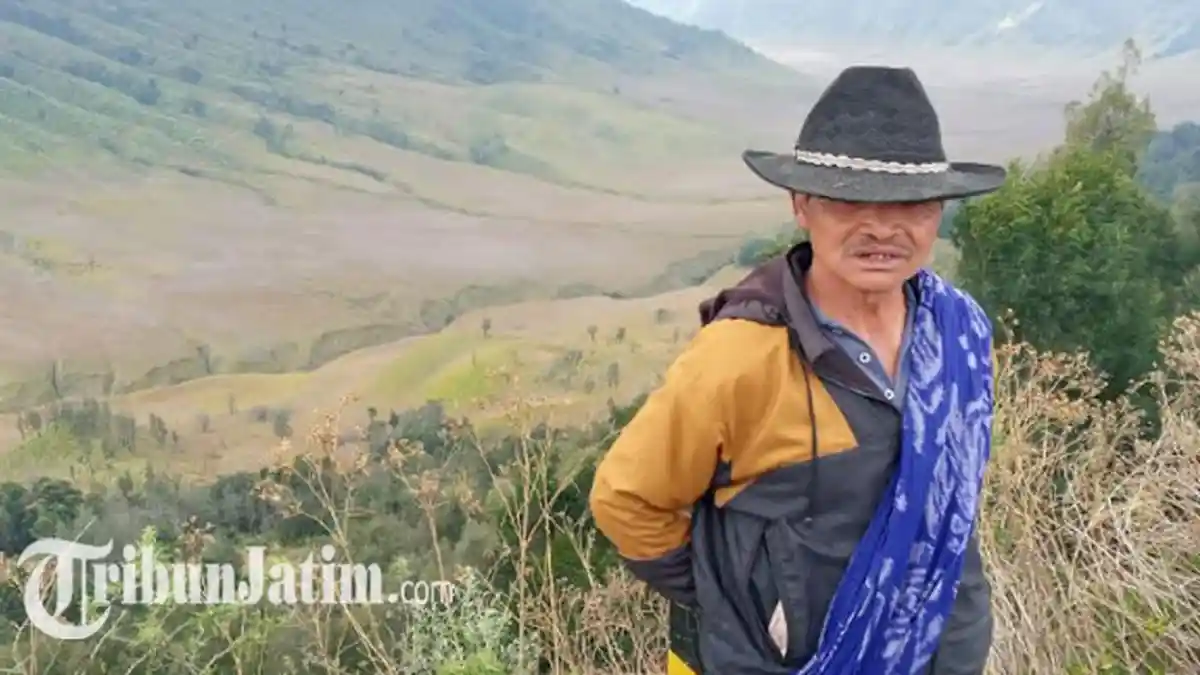 Curhat Ojek Kuda Gunung Bromo 6 Bulan Kantongi Rp 0 Imbas Covid-19, Tanam Kubis Demi Dapur Mengepul