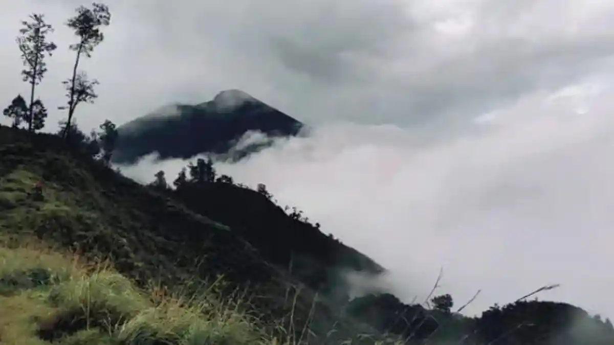 Lelah, Tapi Puas! Bukit Gedong Menawarkan Pendakian yang Gak Bisa Kamu Lupakan