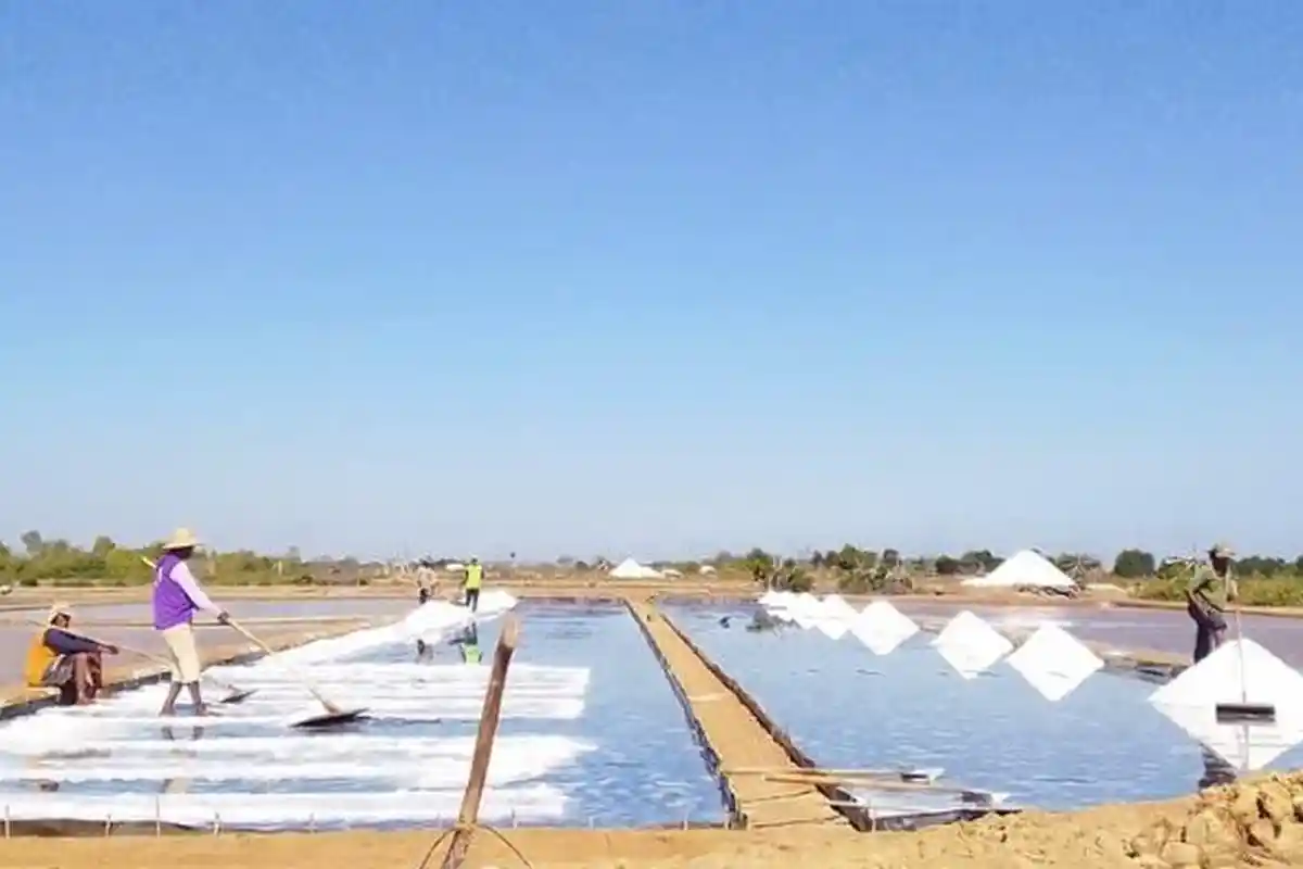 Pemprov Jatim Dukung Raperda Lindungi Petani Garam, Pasok 40 Persen Kebutuhan Garam Nasional 