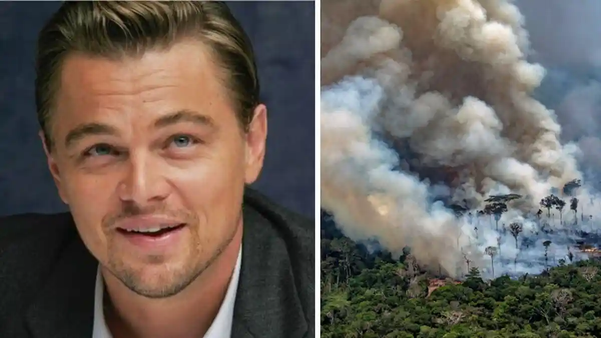 Curhat Bantahan Leonardo DiCaprio Saat Dituduh Presiden Brasil Jadi Otak Kebakaran Hutan Amazon