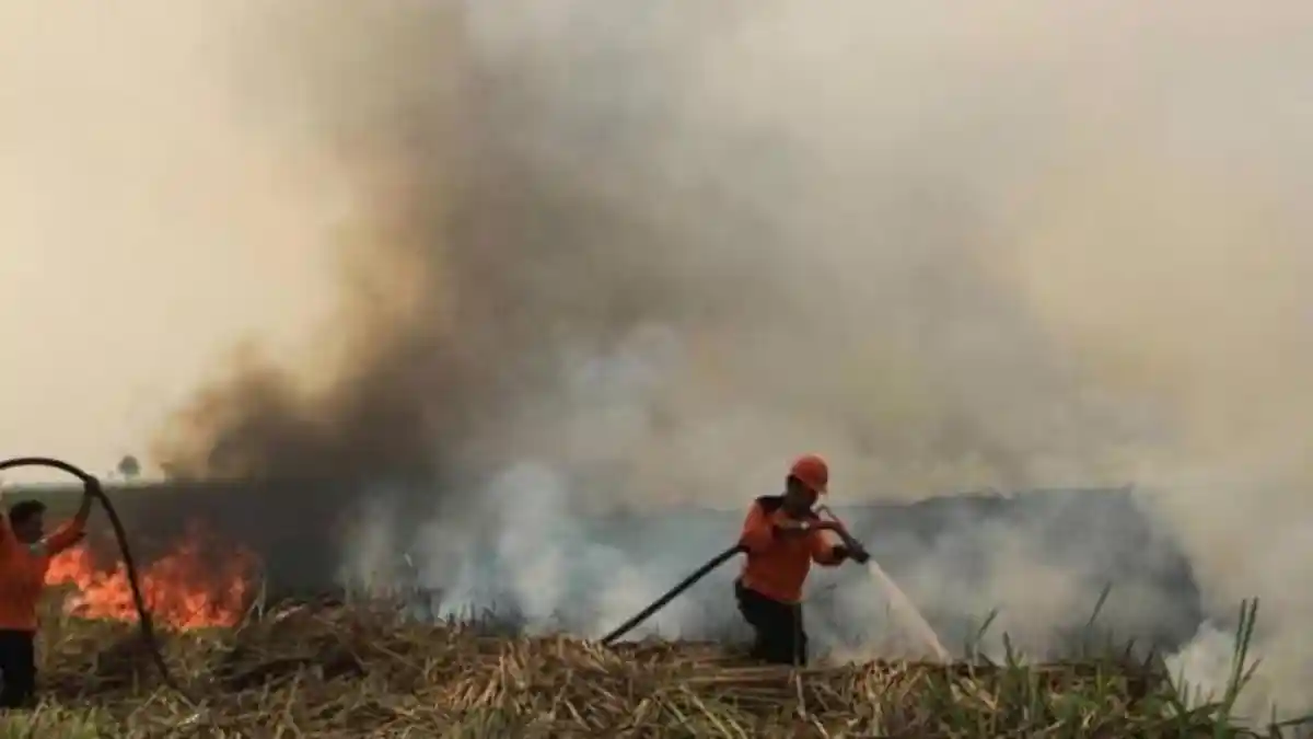 Perjuangan Tim Satgas Darat  Karhutla; Tetap Loyal Meski Gaji Rp 750 Ribu per Bulan