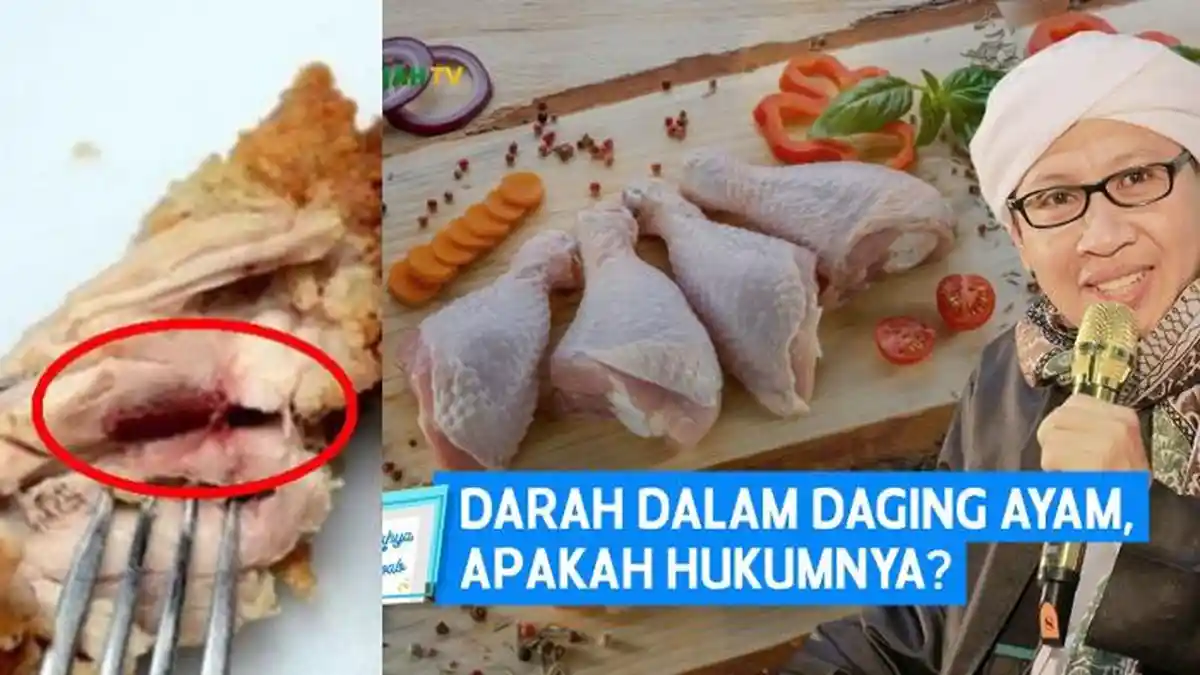 Apakah Darah yang Menempel Dalam Daging Ayam Juga Haram Dimakan? Begini Penjelasan Buya Yahya
