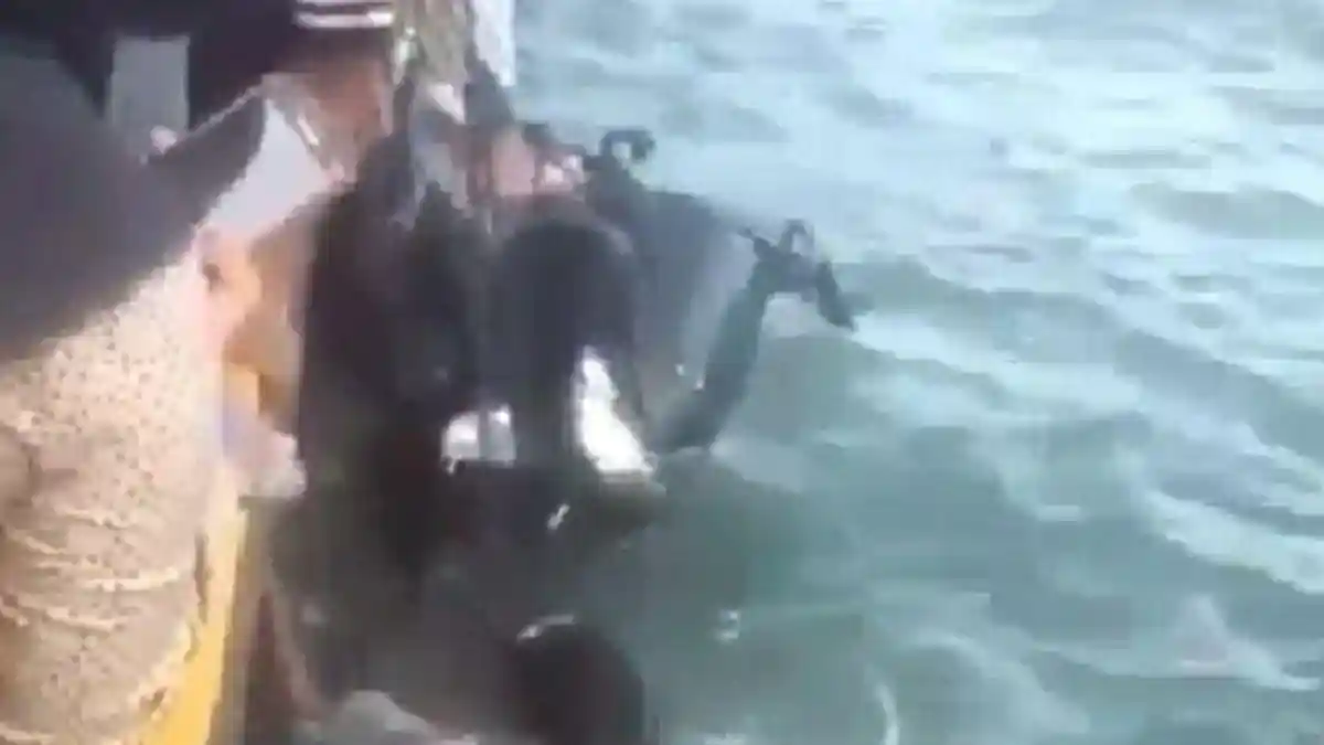 Video Yamaha NMAX Nyemplung ke Laut, Emak-emak Teriak Minta Tolong