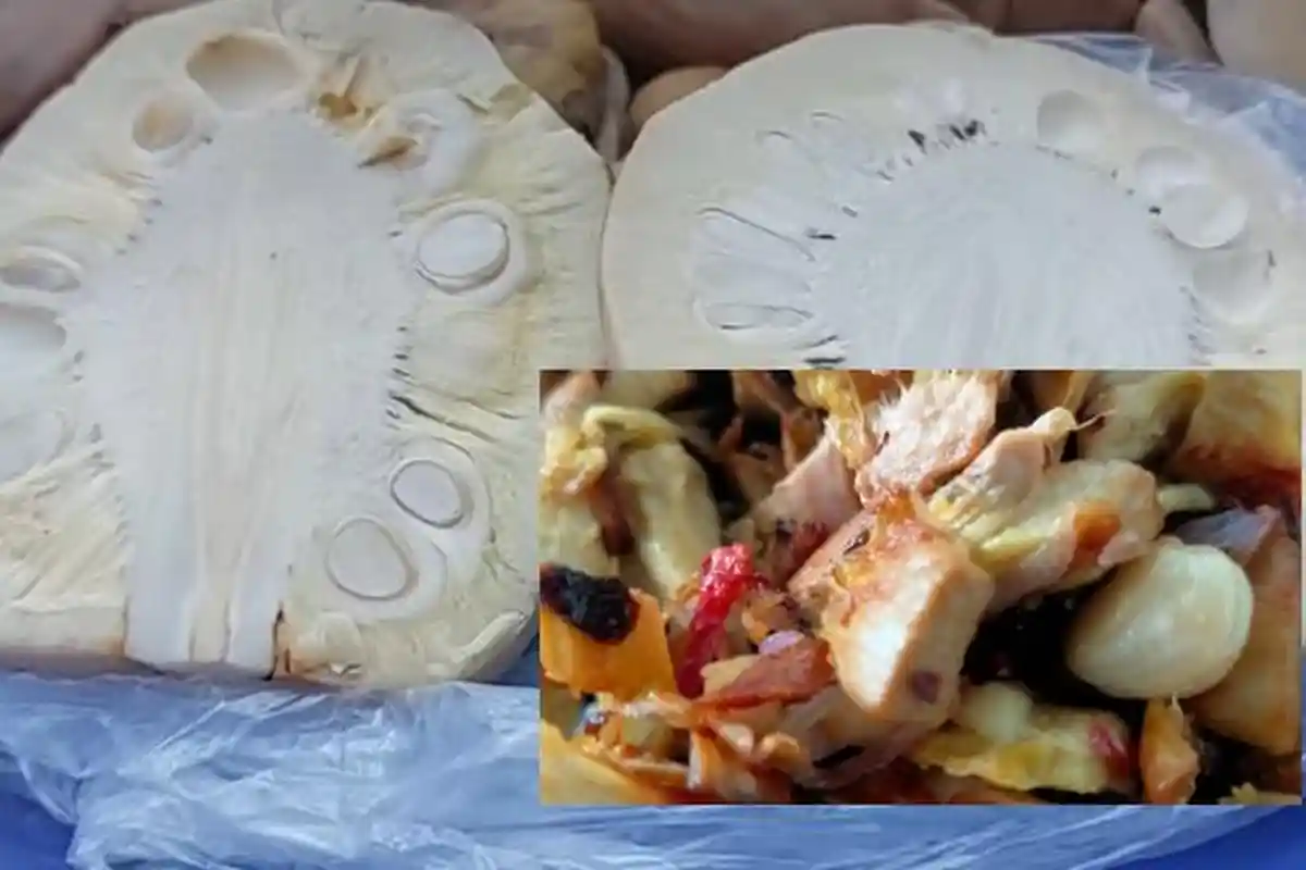 Rasakan Asin Gurih Permentasi Buah Tarap Untuk Lauk Makan, Begini Cara Membuatnya