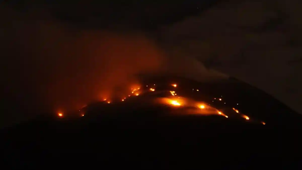 Cuaca NTT Hari Ini 14 Agustus 2023,Peringatan BMKG: Waspada Kebakaran Hutan dan Lahan di Wilayah NTT