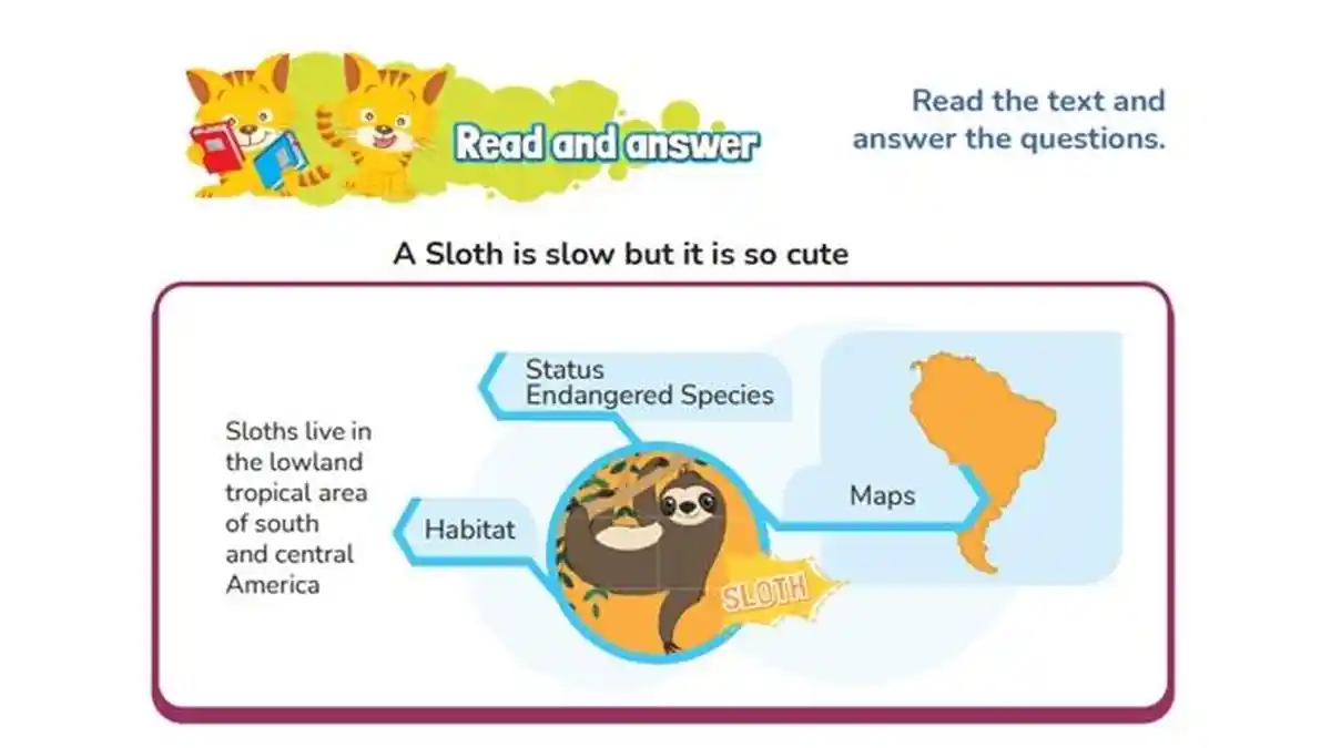 Kunci Jawaban Bahasa Inggris Kelas 6 SD Halaman 94 Semester 2 Kurikulum Merdeka, Read and Answer