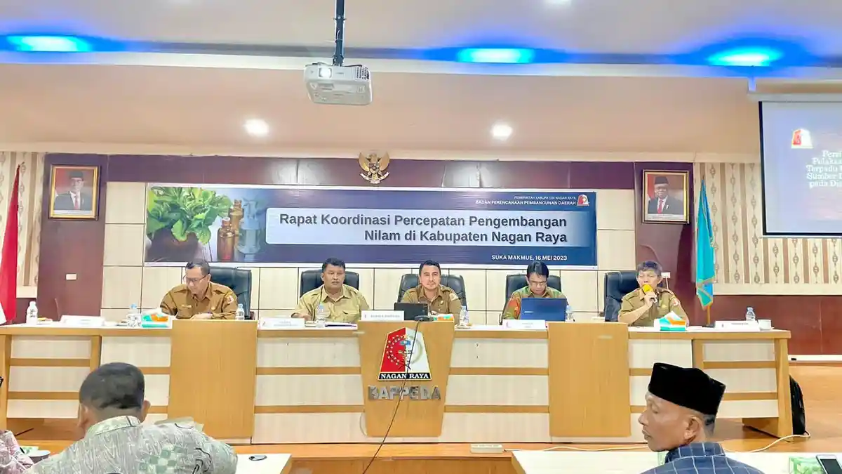 Gandeng Universitas Syiah Kuala, Nagan Raya Siap Kembangkan Tanaman Nilam