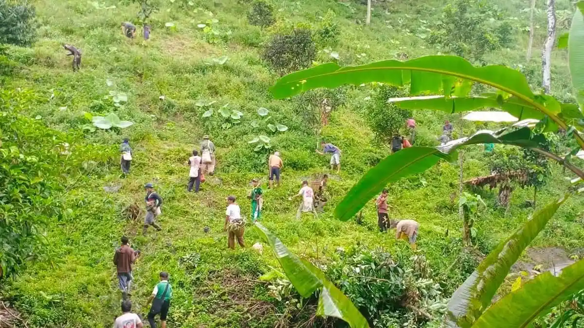 Cara Warga Desa Gunung Gijul di Lampung Utara Lestarikan Pohon Langka yang Hampir Punah