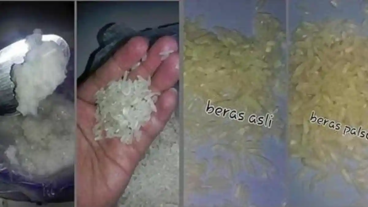 Kalau Dihentikan, Terus Masyarakat Makan Apa?