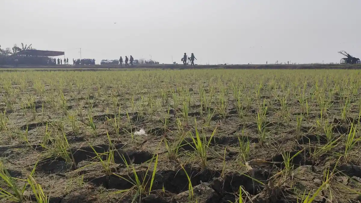 Kemarau Musim Ini di Jateng, Suhu Terpanas 41 Derajat, di Semarang ...