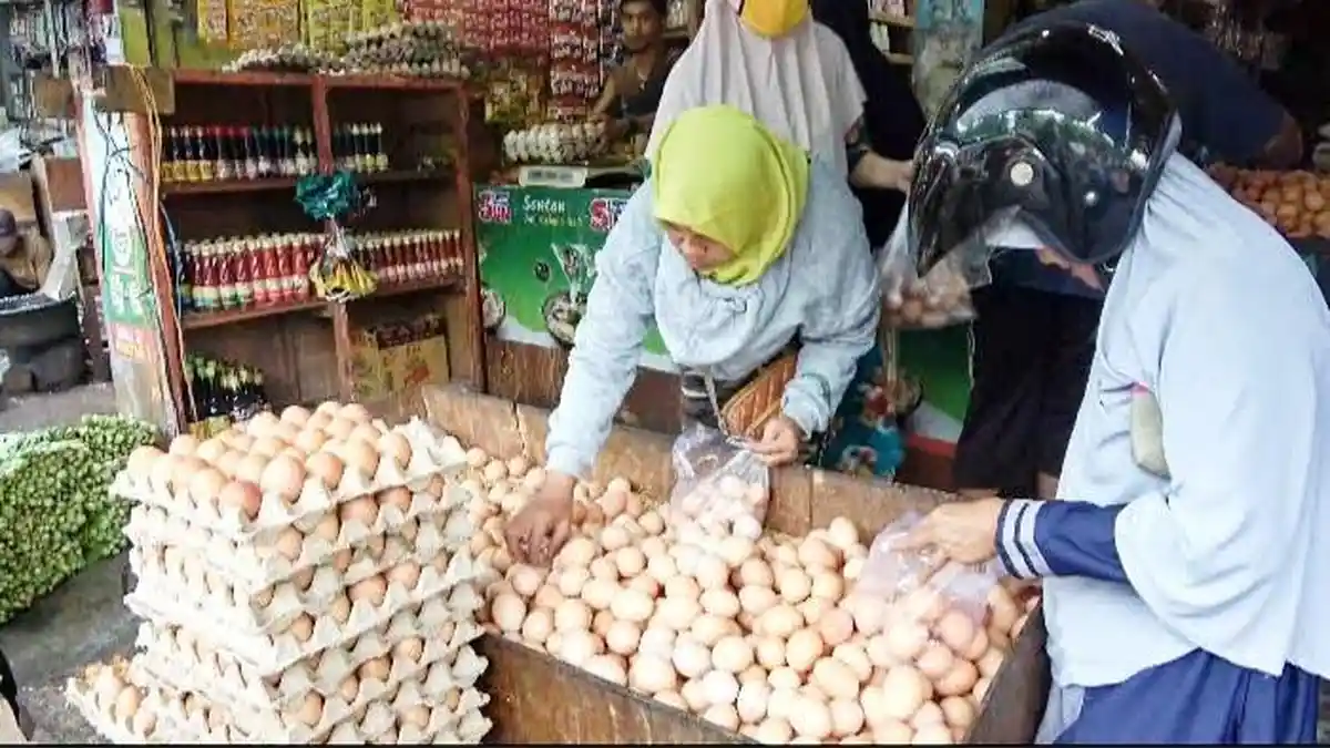 Harga Telur di Lamongan Tembus Rp 31 Ribu Per Kilogram, Diprediksi Bertahan Sampai Ramadan