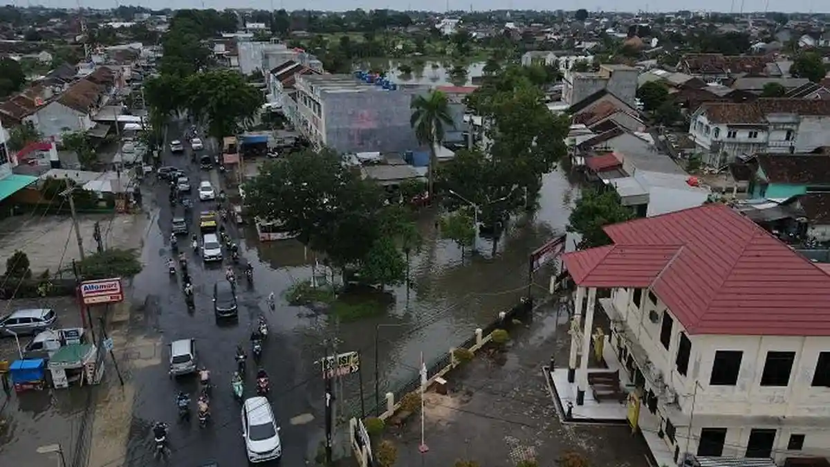 Walhi Lampung Sesalkan RTH Berkurang dan Kawasan Resapan Air Hilang 