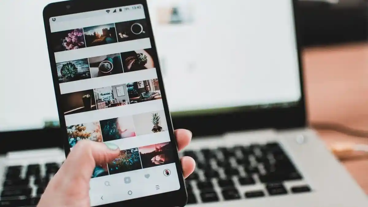 Kelebihan SnapInsta Sebagai Instagram Downloader Gratis Tanpa Iklan