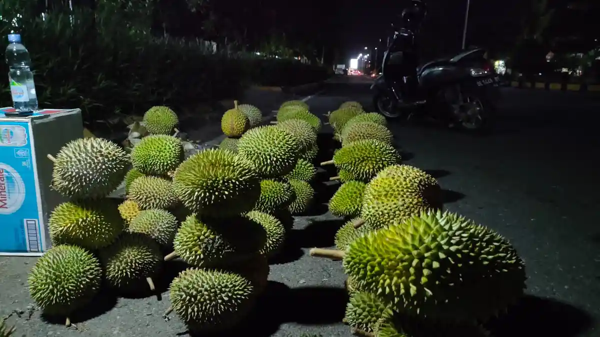 Musim Lagi, Pedagang Durian Mulai Melapak di Jalanan Kota Masohi
