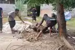 Penyembelihan-hewan-qurban-di-beberapa-Gampong.jpg