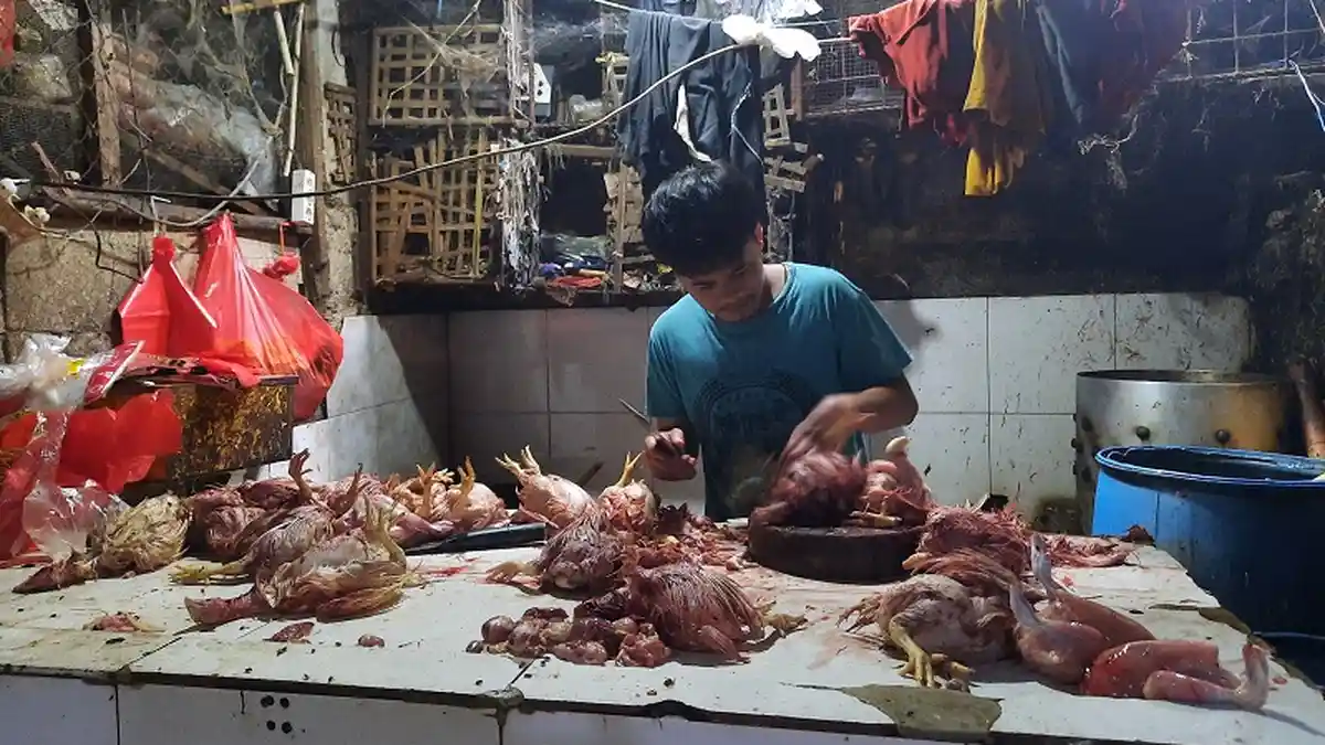 Harga Daging Ayam di Bogor Masih Stabil Jelang Ramadan