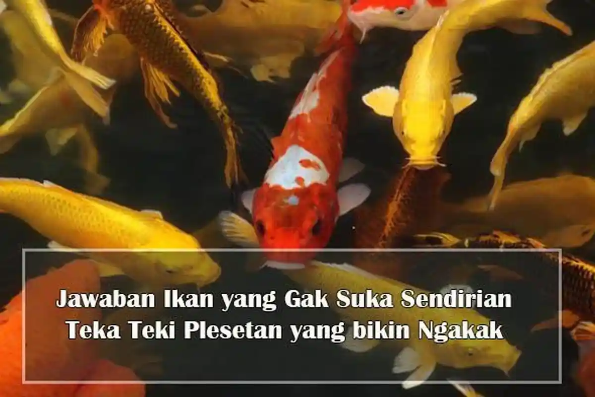 Jawaban Ikan yang Gak Suka Sendirian , Teka teki Plesetan yang Sulit , Tebak tebakan tentang Ikan