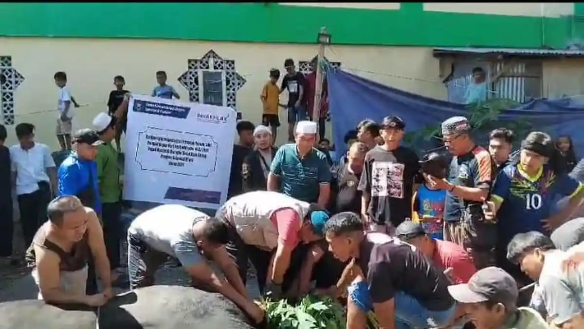 Tokoh Agama Bitung Sulut Habib Abdullah Bin Smith Bangga Potong Sapi Kurban Milik Presiden Jokowi