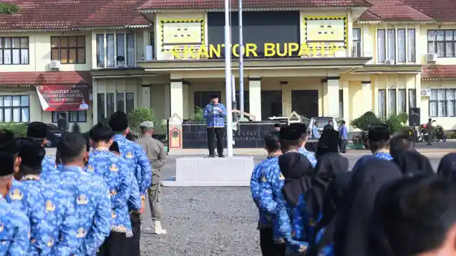 Tribun