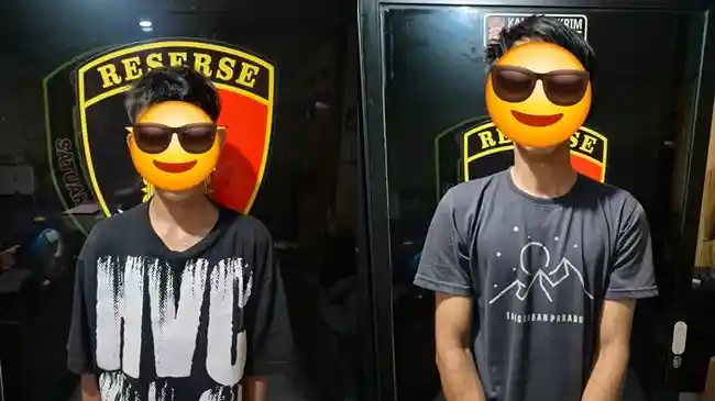 Tribun