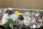 Tumpukan Sampah Berserakan di Jembatan Rawa Makmur Kota Bengkulu