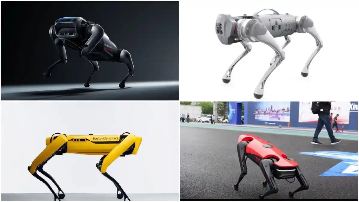 4 Robot Anjing Terpopuler: Intip Spesifikasi, Harga dan Fitur Spot, Go1, CyberDog dan AlphaDog