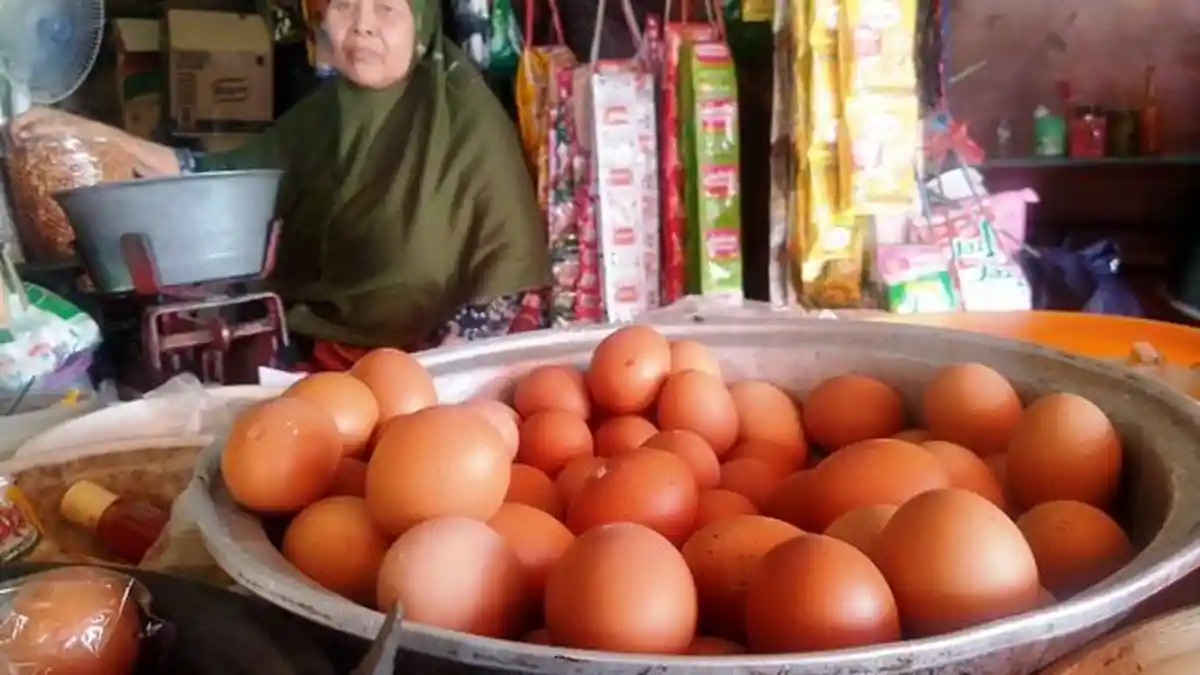 Kenaikan Harga Telur Hingga Daging Ayam Ras Picu Inflasi Jateng Mei 2023