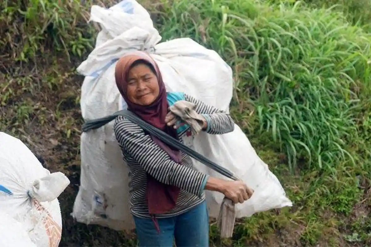 Kisah Nenek 63 Tahun Punguti Sampah Para Pendaki di Merbabu, Hasilnya Dijual untuk Sedekah