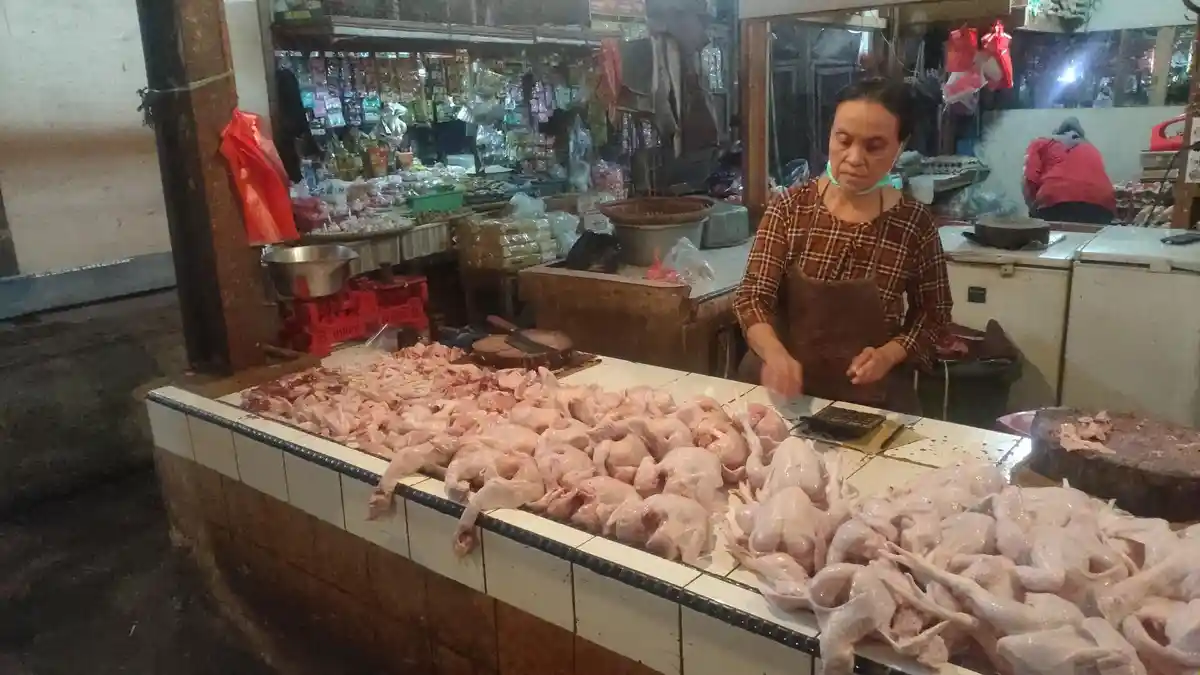 H-1 Idul Adha, Harga Daging Ayam di Majalengka Kembali Meroket, padahal Pasokan Normal