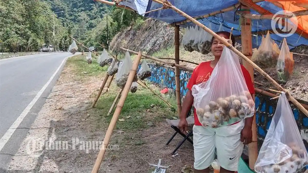 Buah Matoa Banjiri Jalanan Sentani, Satu Kantong Dihargai 100 Ribu ...
