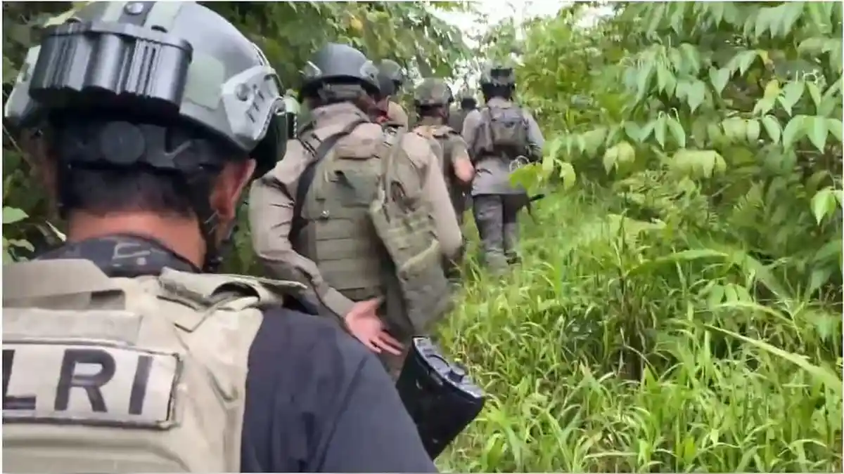 Komandan KKB Tembak Mati 3 Warga dan Bakar 11 Rumah Lantaran Istrinya Selingkuh