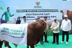 Wapres Gibran Percayakan Penyaluran Hewan Kurban kepada BAZNAS RI