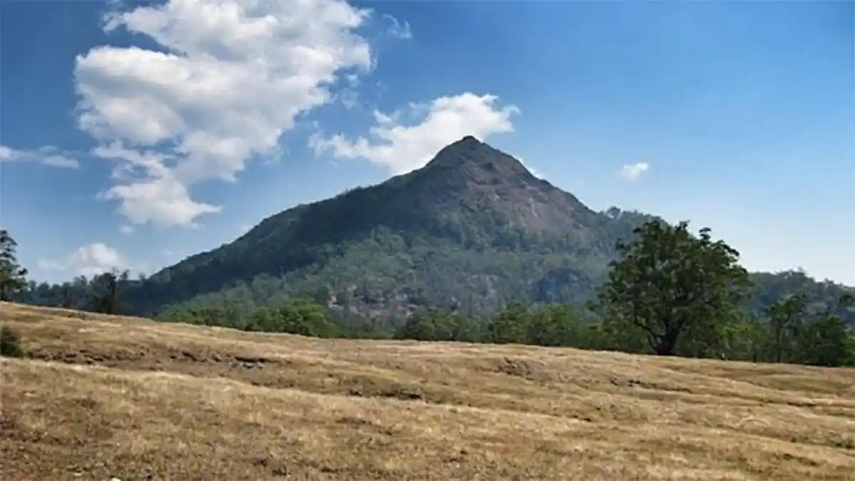 Wisata NTT,  Eksplore Gunung Timau dan Rasakan Sensasi Salah Gunung Indah di Pulau Timor