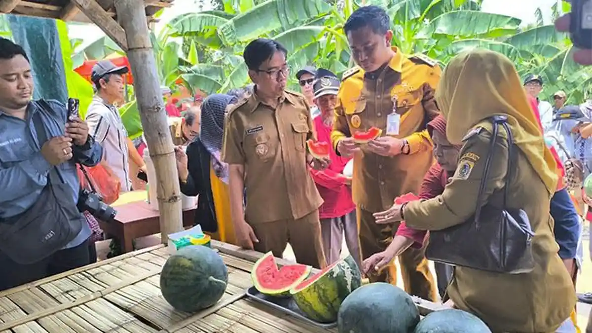 Lahan Petik Buah Desa Demakijo Klaten Ternyata Awalnya Bukan Lahan Produktif, Kini Bermanfaat Besar
