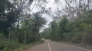 Pesona-alam-saat-menyusuri-jalur-di-kawasan-Desa-Kiram-Banjar2.jpg