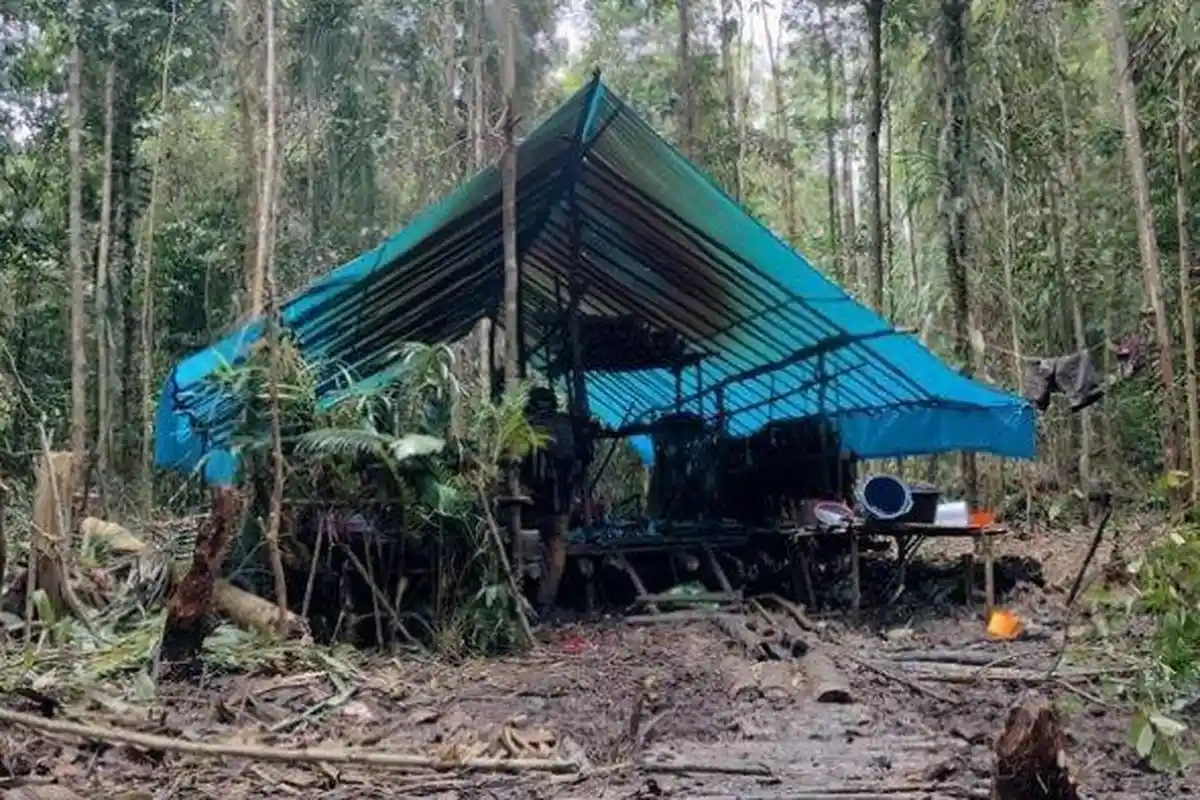 KKB Papua Berulah di Malam HUT ke-78 RI: Tembak 3 Warga Lalu Bakar Truk