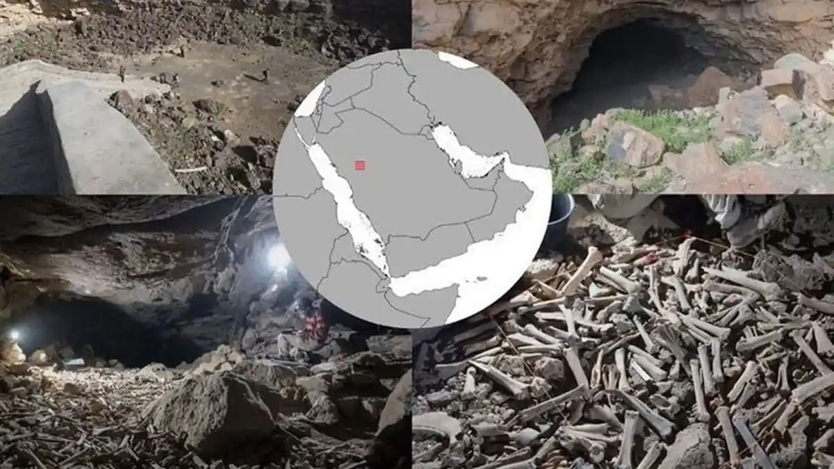 Ilmuwan Takjub dengan Temuan Ratusan Ribu Tulang Hewan dan Manusia dalam Gua di Arab Saudi