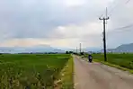 Kondisi-persawahan-di-kawasan-Kecamatan-Soreang-Kabupaten-Bandung.jpg