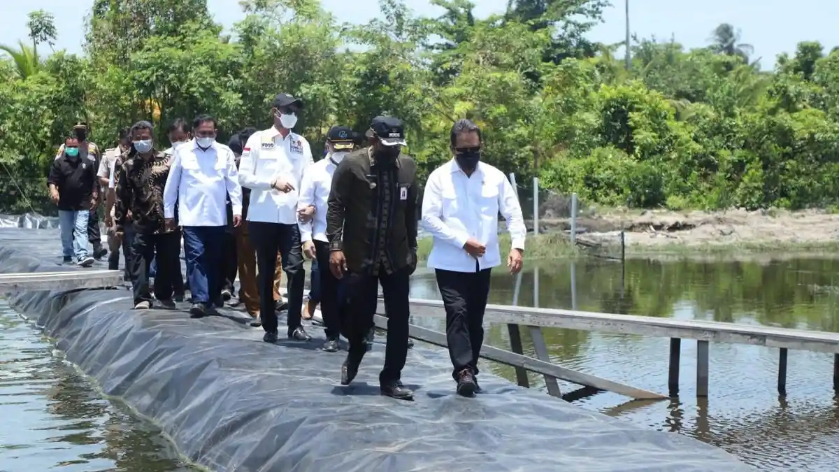 Menteri Trenggono: Tambak Udang Vaname KKP di Aceh Timur Ciptakan Multiplier Effect