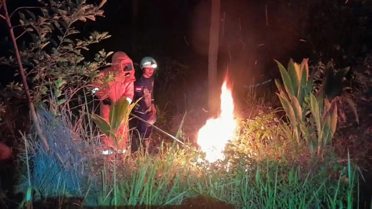 Tawon Vespa Serang Warga, Damkar Tanjunguban Bintan Bergerak