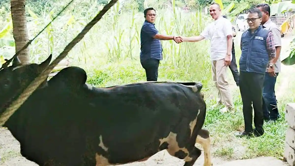 Serambi Indonesia Serahkan Hewan Kurban Idul Adha 1446 H